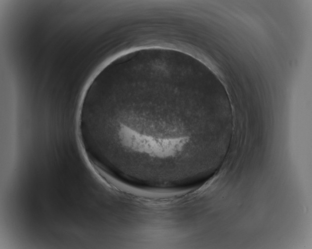 X0000093131536200710031343