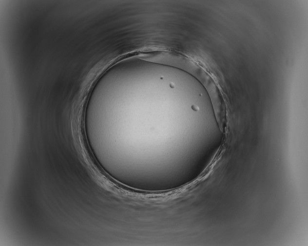 X0000093130001200710101107