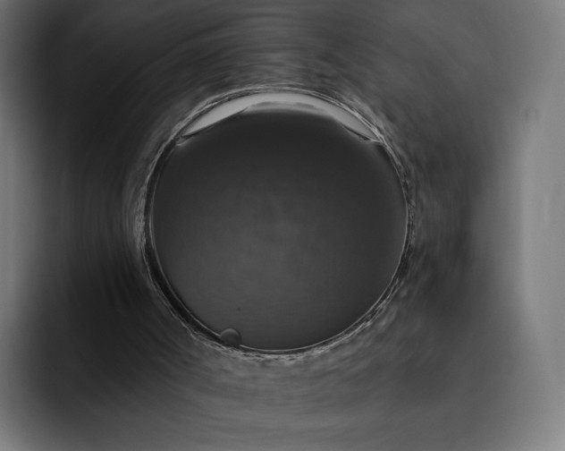 X0000093130002200710101107