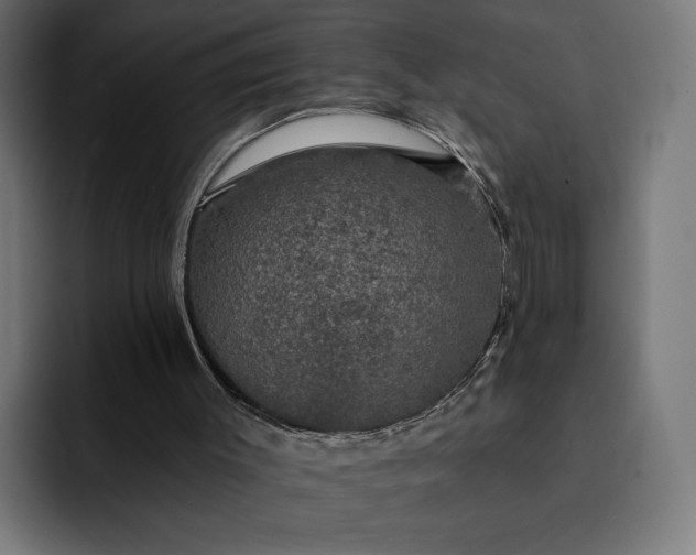 X0000093130003200710101107