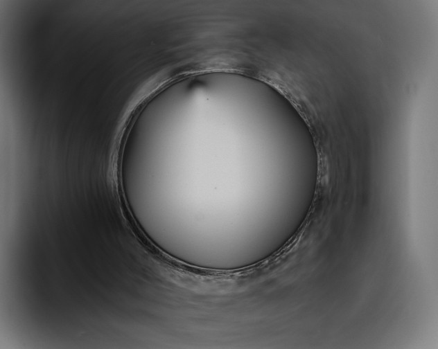 X0000093130004200710101107