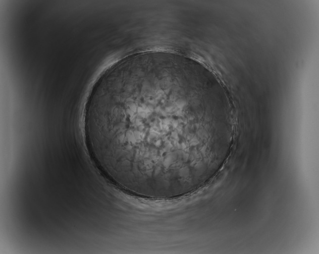 X0000093130006200710101107