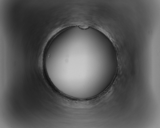 X0000093130008200710101107