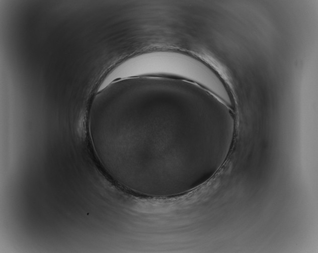 X0000093130009200710101107