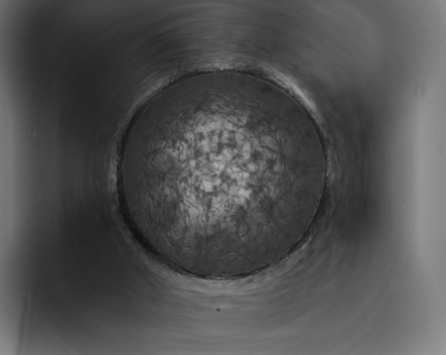 X0000093130010200710101107