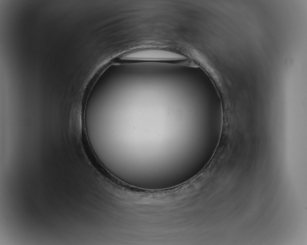 X0000093130011200710101107