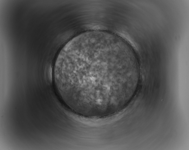 X0000093130014200710101107