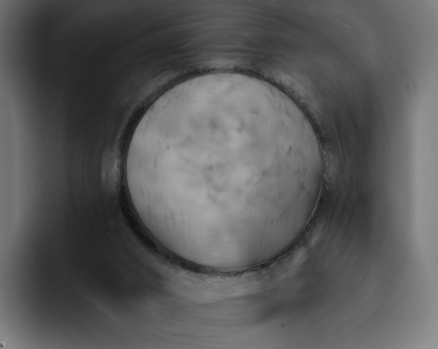 X0000093130016200710101107