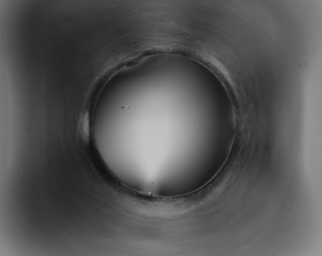 X0000093130020200710101107