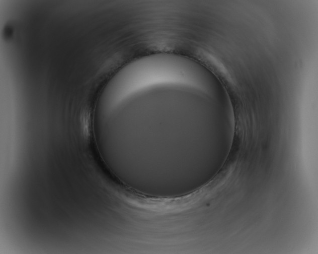 X0000093130023200710101107