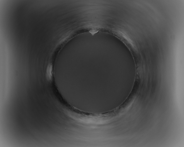 X0000093130024200710101107