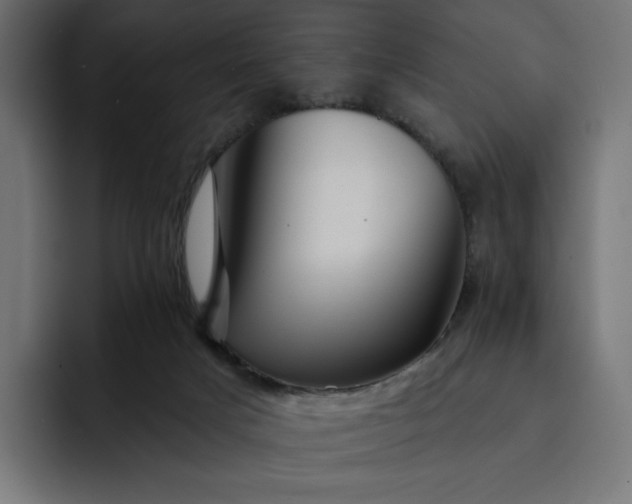 X0000093130025200710101107