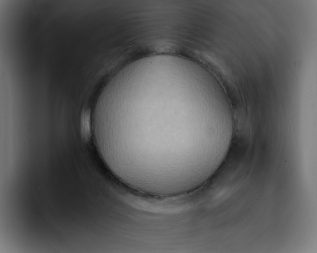 X0000093130028200710101107