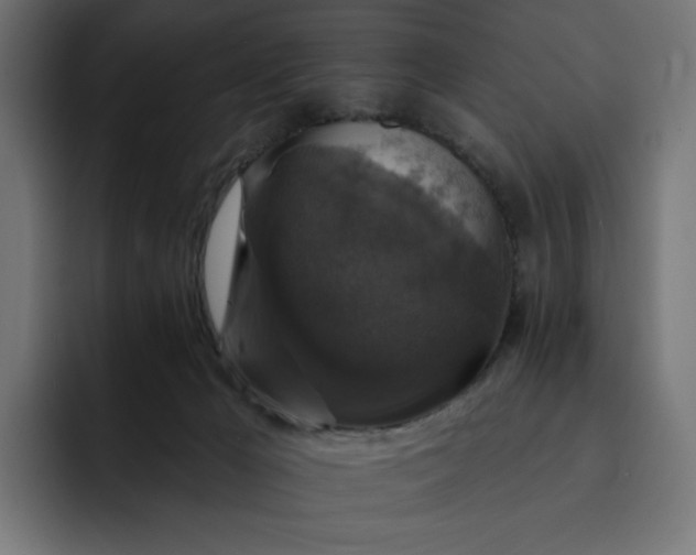 X0000093130029200710101107