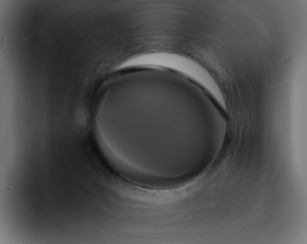 X0000093130031200710101107