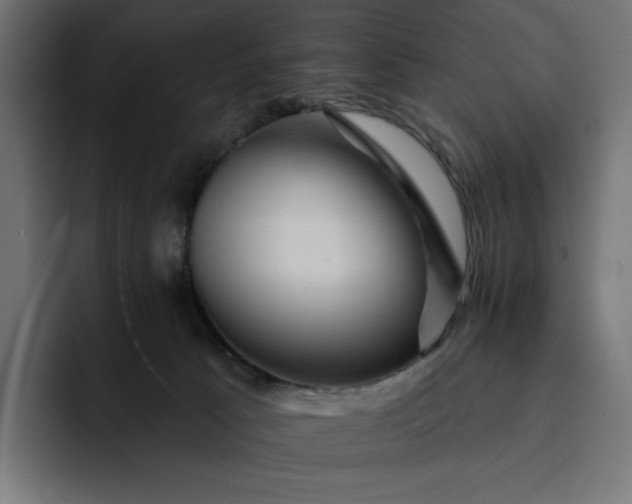 X0000093130033200710101107