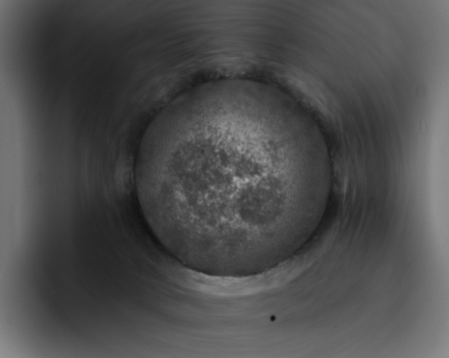 X0000093130034200710101107