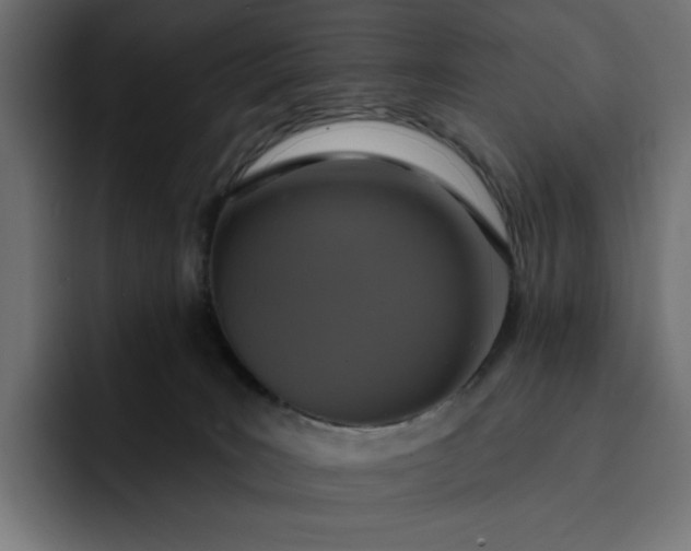 X0000093130035200710101107