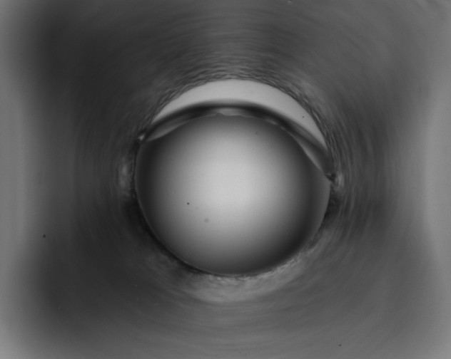 X0000093130037200710101107