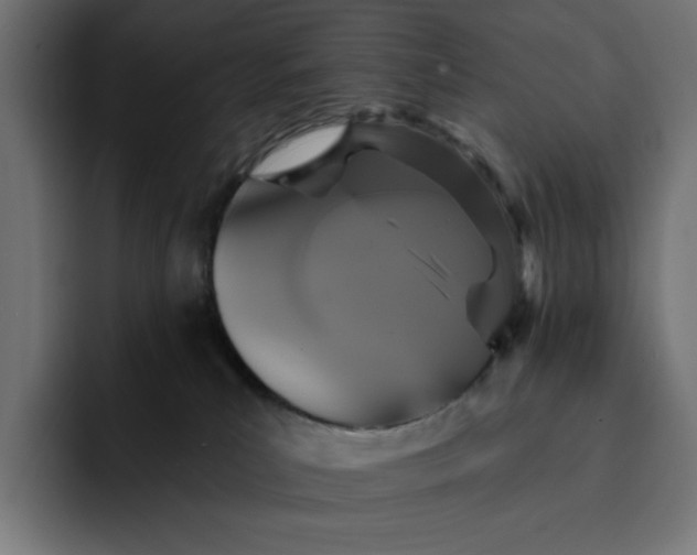 X0000093130039200710101107