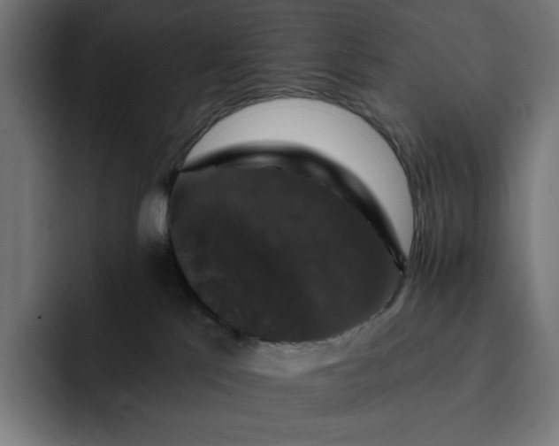 X0000093130041200710101107