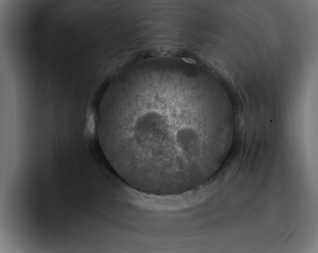 X0000093130042200710101107