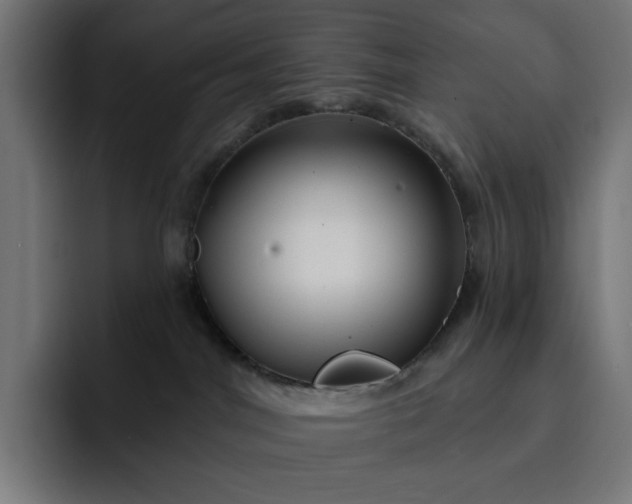 X0000093130044200710101107