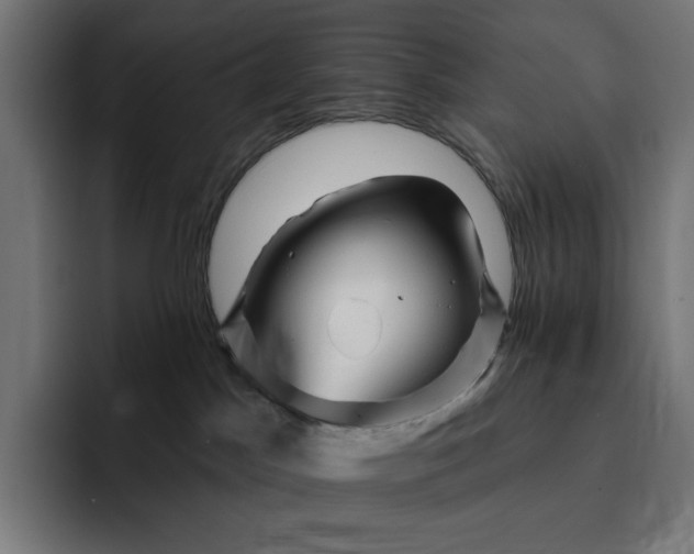 X0000093130045200710101107