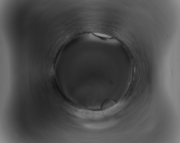 X0000093130048200710101107