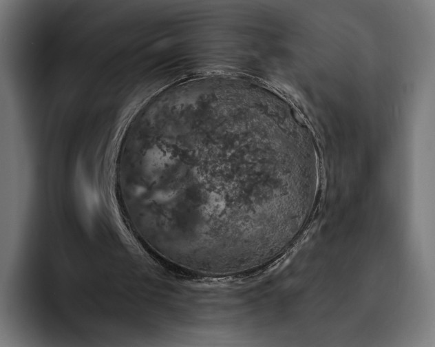 X0000093130049200710101106