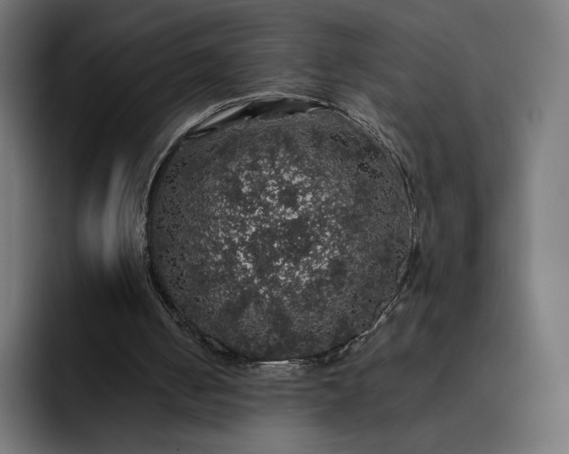 X0000093130050200710101106