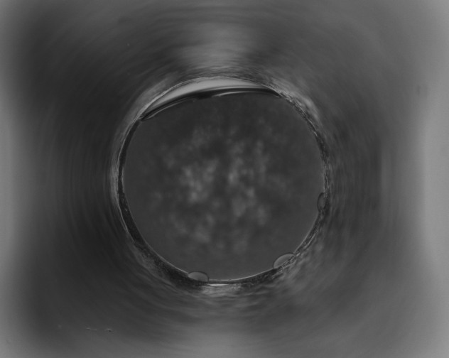 X0000093130051200710101106