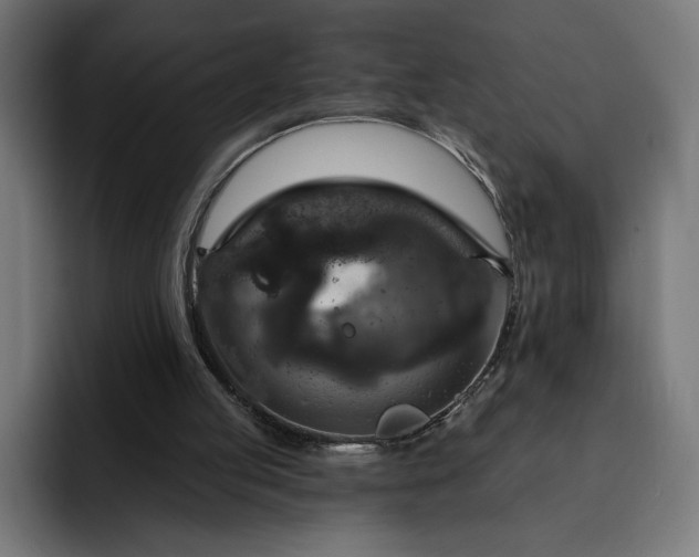 X0000093130053200710101106