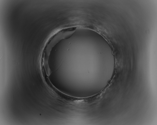 X0000093130054200710101106