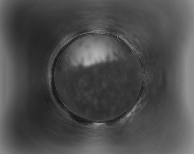 X0000093130055200710101106