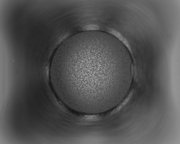 X0000093130057200710101106