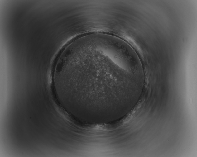 X0000093130060200710101106