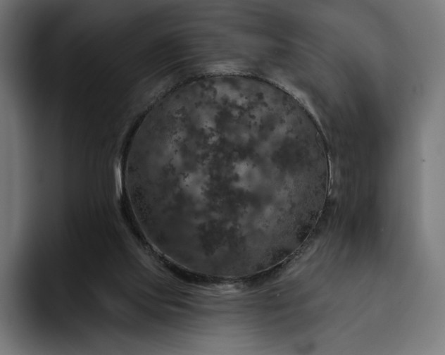 X0000093130061200710101106