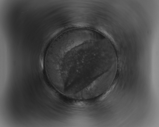 X0000093130062200710101106