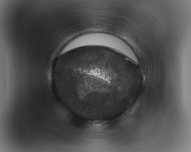 X0000093130064200710101106