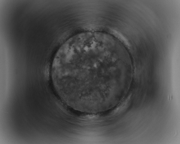 X0000093130065200710101106