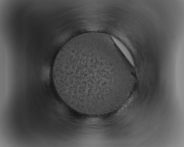 X0000093130066200710101106