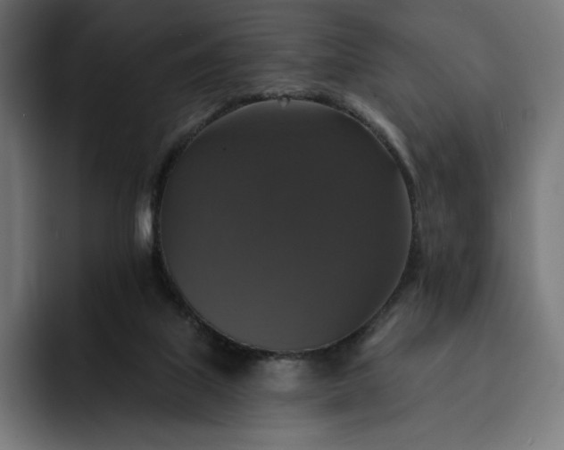 X0000093130067200710101106