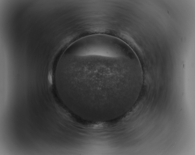 X0000093130068200710101106