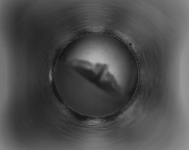 X0000093130069200710101106