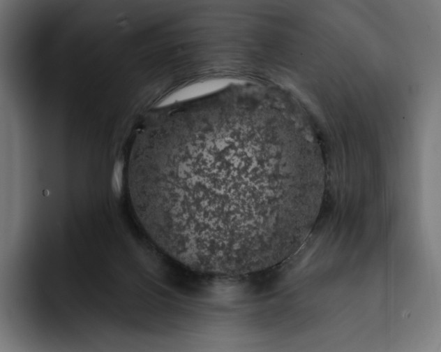 X0000093130070200710101106