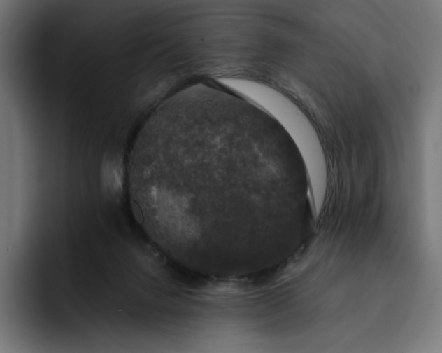 X0000093130072200710101106