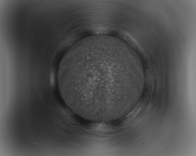 X0000093130074200710101106