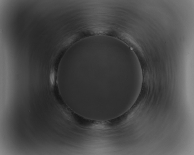 X0000093130076200710101106