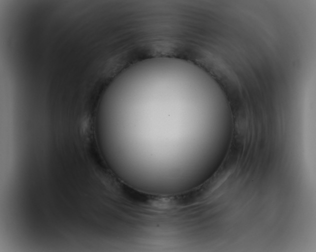 X0000093130079200710101107